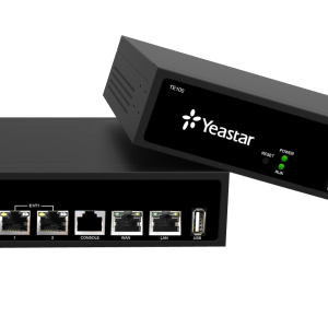 TE100 - (NEOGATE PRI) ISDN 1